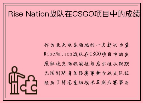 Rise Nation战队在CSGO项目中的成绩